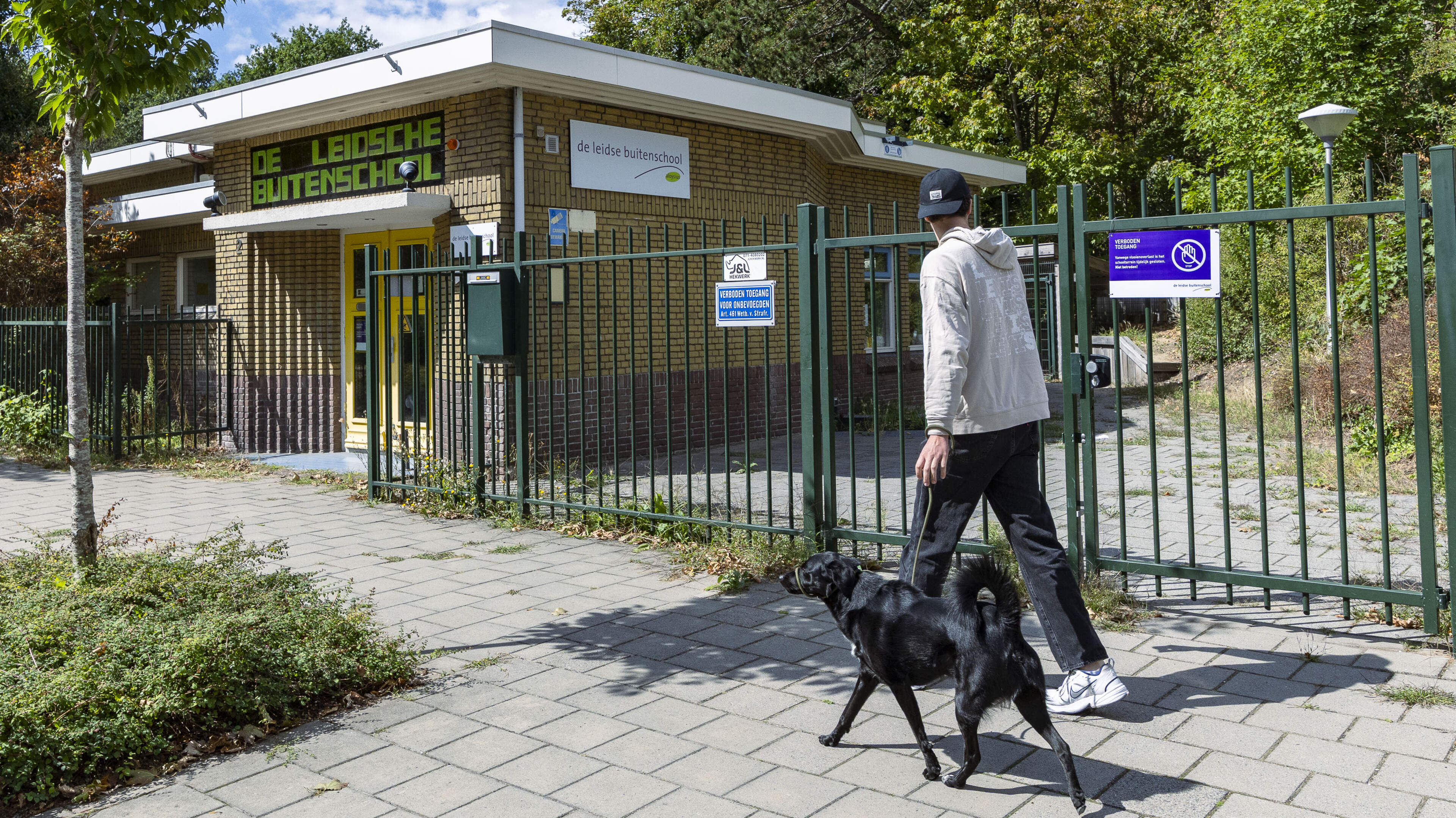 Katwijkse school verhuist tijdelijk vanwege vlooienplaag: Lesgeven niet mogelijk